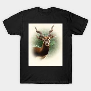 Blackbuck T-Shirt